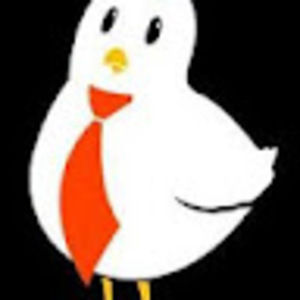 Meet your Posher, Timothy